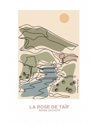 LA ROSE DE TAÏF Décoration